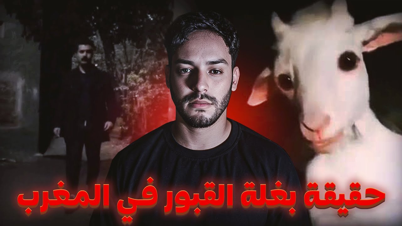 المغربي لي خرجات ليه بغلة القبور (اسرار اول مرة تسمعها)