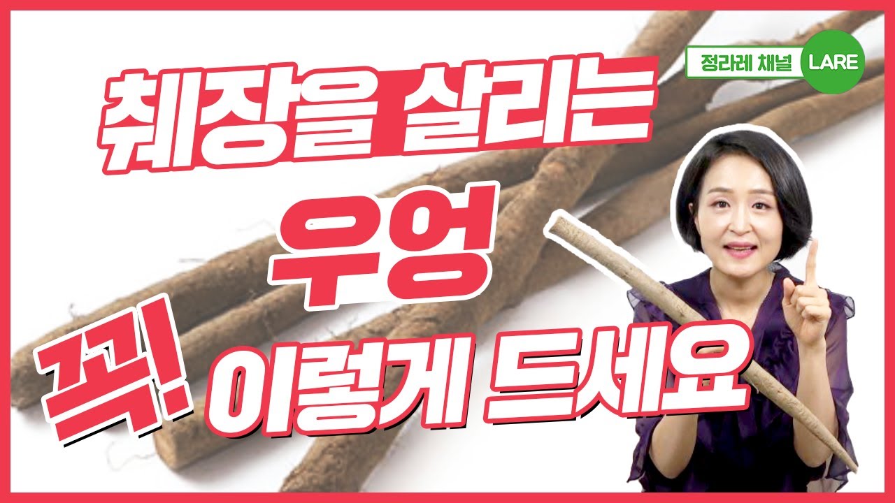 보약보다 좋은 우엉, 이렇게 먹어야 합니다. 우엉 효능과 부작용  [정라레]