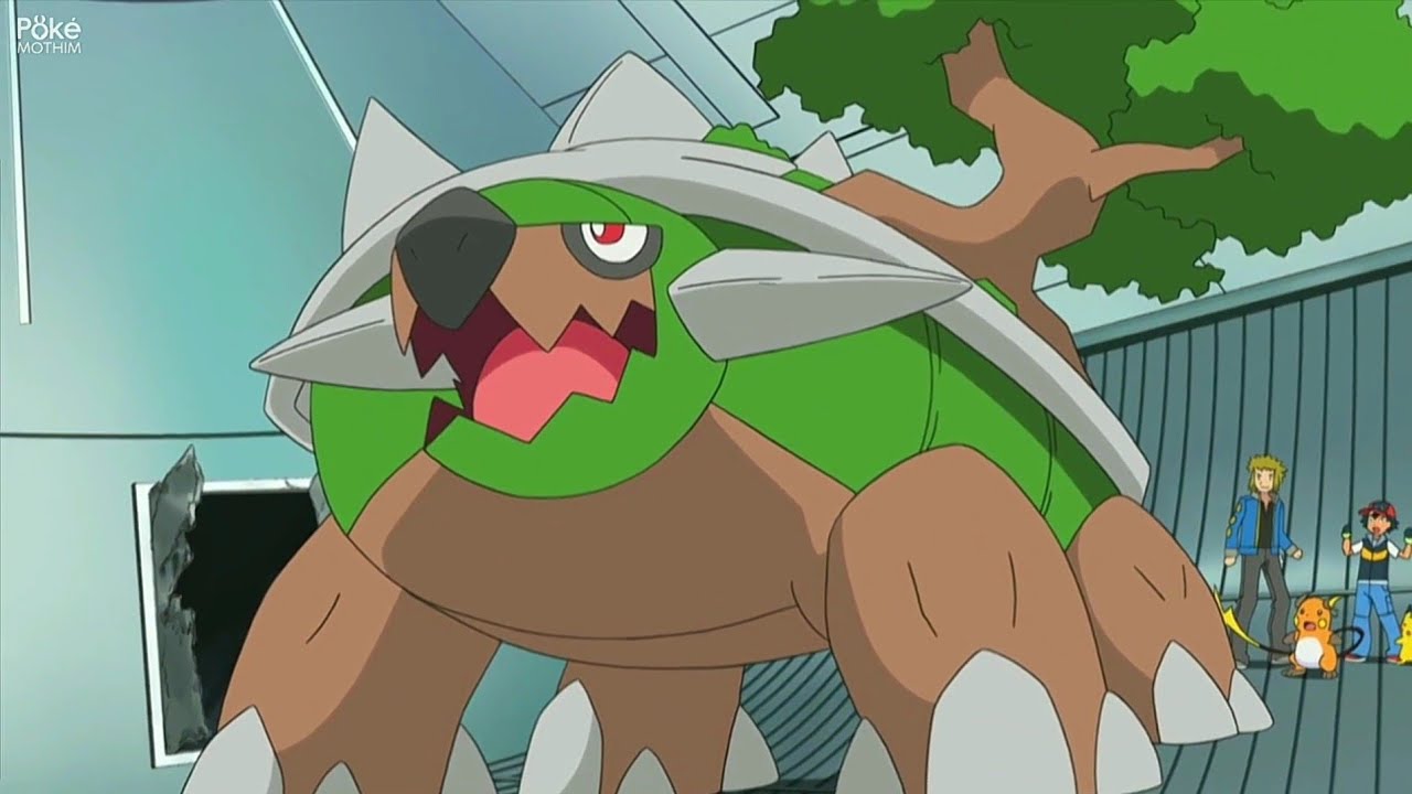 Turtwig, Grootle e Torterra