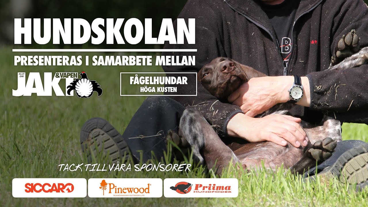 Hundskolan: Valpen och inkallning