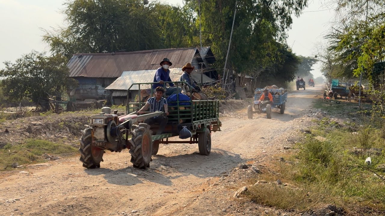 អុស៦គោយន្ត និងដឹកចេញទៅវត្តអូរប្រាសាទ ត្រៀមទុកសម្រាប់ក្រែងមានជុំទី៣