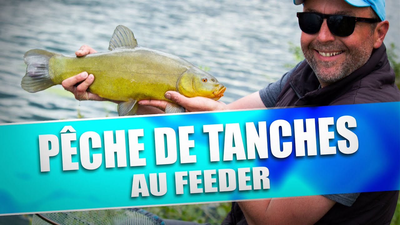 PÊCHE DE TANCHES AU FEEDER