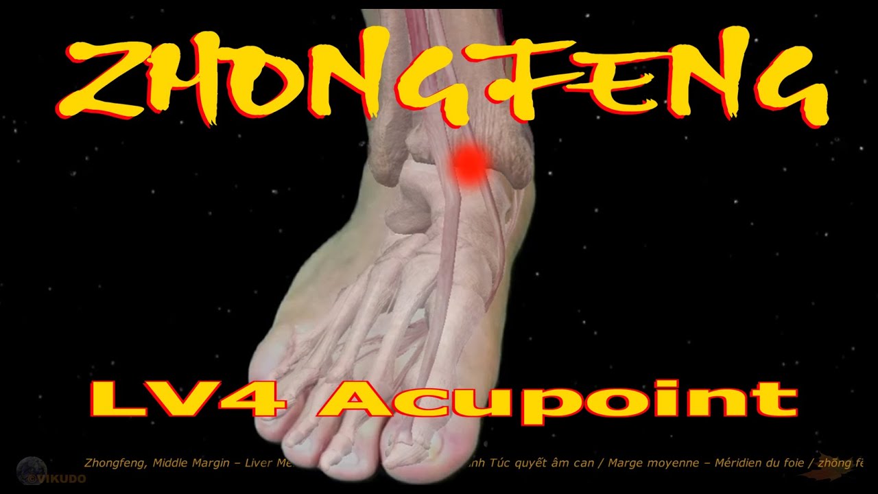 LV4 | Zhongfeng Acupoint | Liver meridian | Acupressure VIKUDO