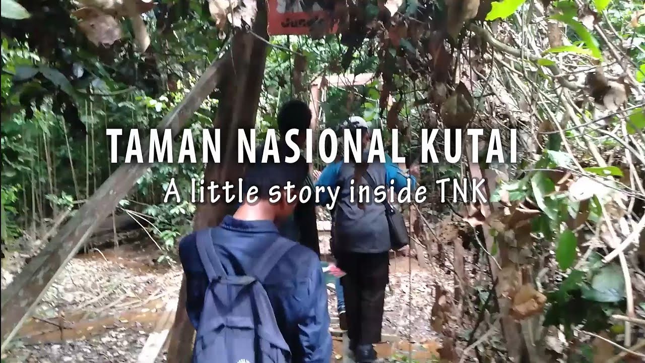 TNK Taman Nasional Kutai Timur (A little story inside National Park of East Kutai) 😉