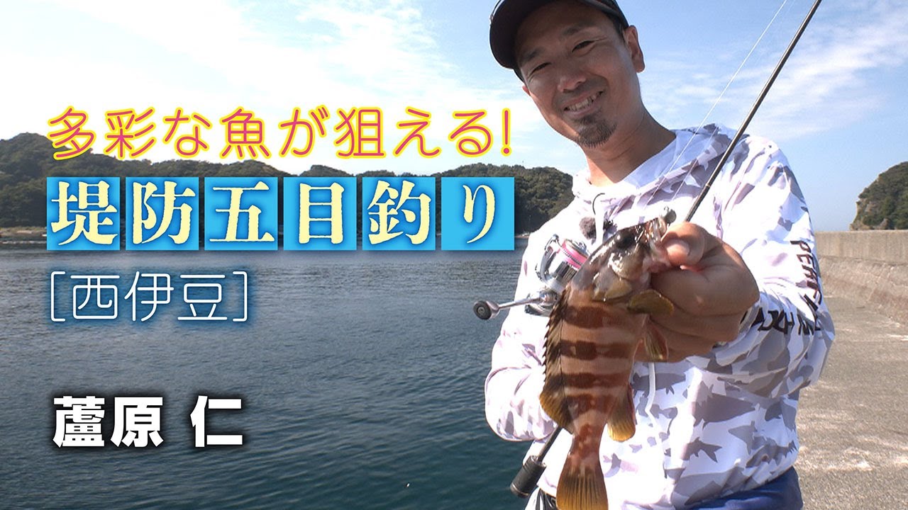 多彩な魚が狙える　堤防五目釣り【西伊豆】