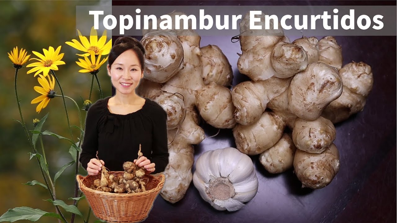 Topinambur Encurtidos/Pickeled Jerusalem Artichoke/洋姜腌菜/菊芋の漬物