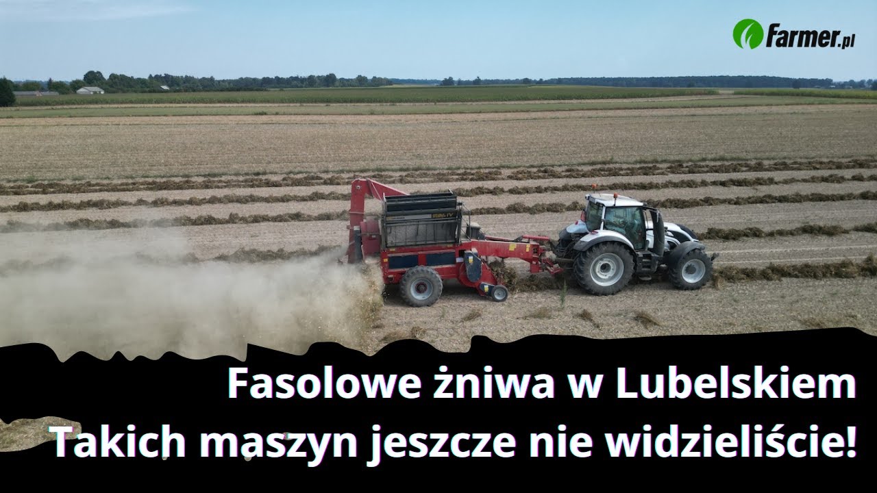 Fasolowe żniwa w Lubelskiem. Takich maszyn jeszcze nie widzieliście! | Farmer.pl