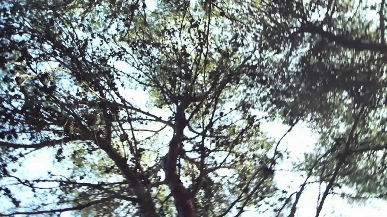 ONIRIA - El Canto del Caballero (Cabezón)