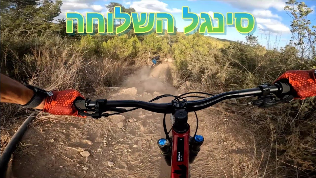 סינגל השלוחה יער עופר
