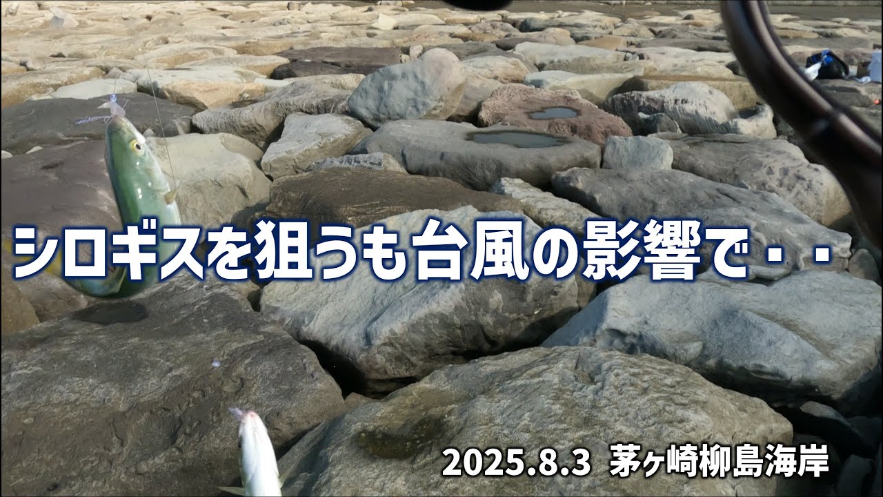 シロギスを狙うも台風の影響で・・ 茅ヶ崎柳島海岸 20250803
