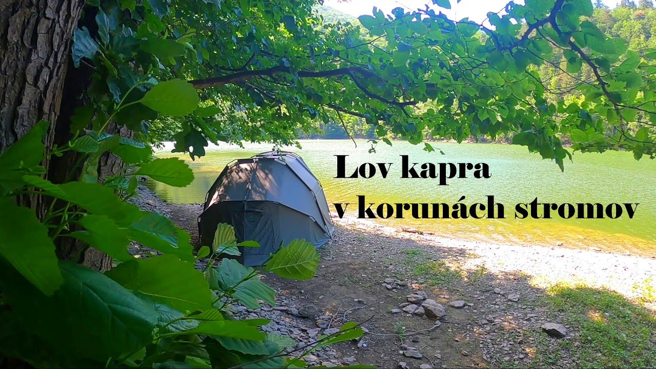 Lov kapra v korunách stromov & zavážacia loďka z Aliexpressu, VN Ružín #fishingvideo #fishing #carp