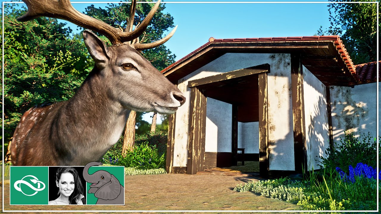 🐘 Building a Stunning Fallow Deer Habitat in City Zoo | Planet Zoo Speed Build