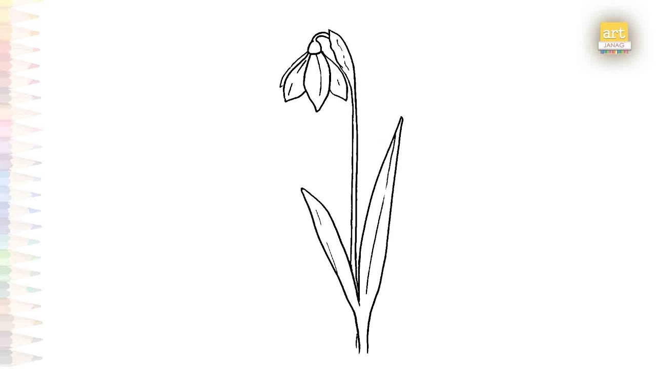 Snowdrop flower drawing easy | Flower drawing tutorial | How to draw A Snowdrop flower step by step