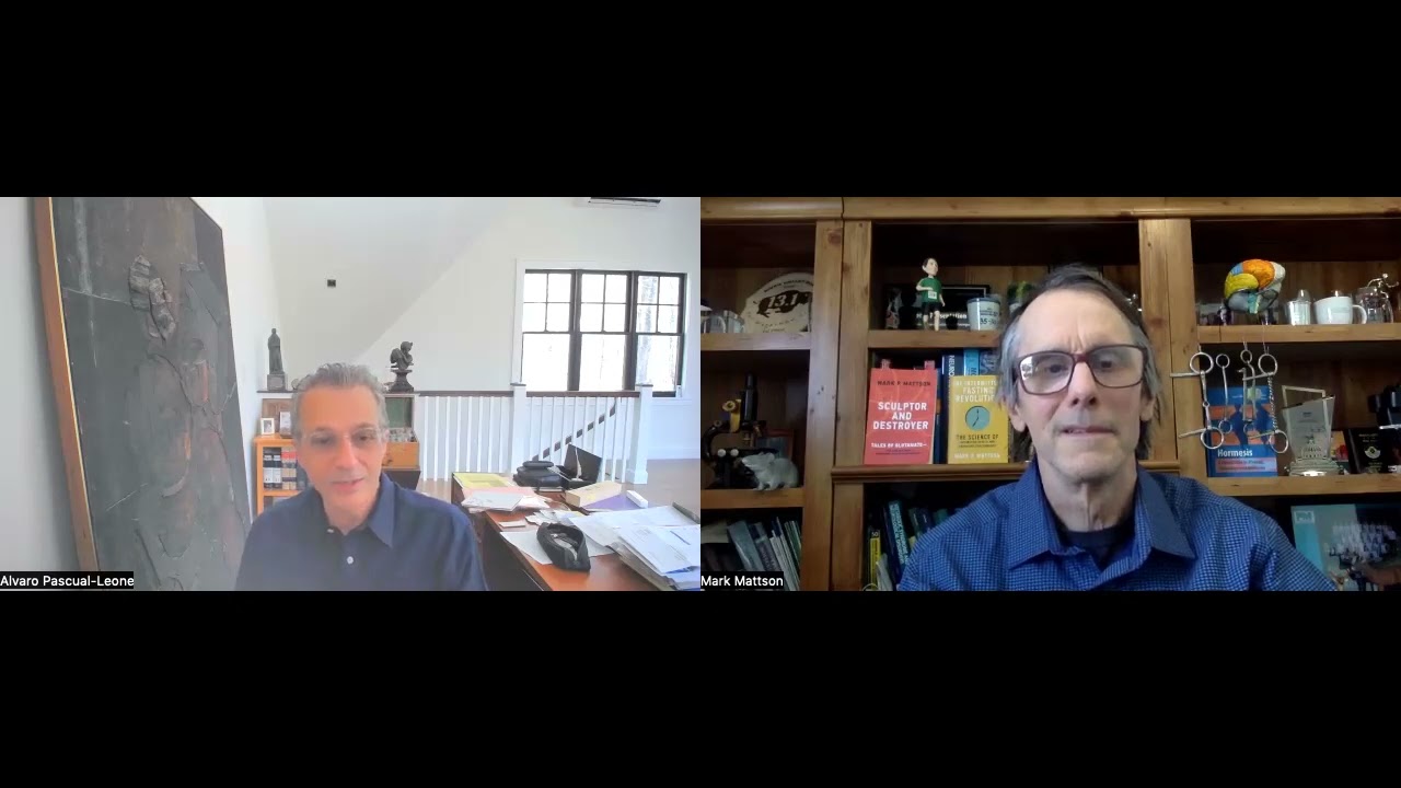 Alvaro Pascual-Leone: Transcranial Magnetic Stimulation for Brain Disorders in the Digital Age