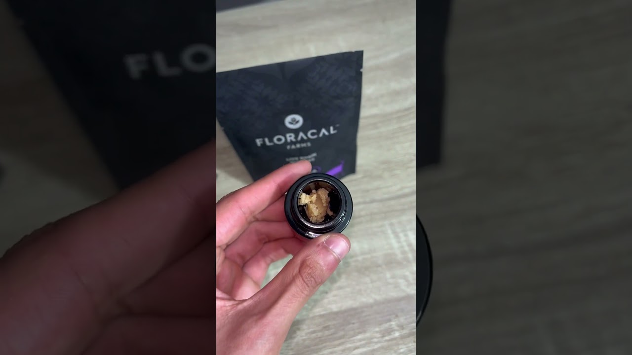 FLORACAL &ldquo;PURPLE PLAGUE&rdquo; LIVE ROSIN #Floracal #Rosin #Like #WeedTube