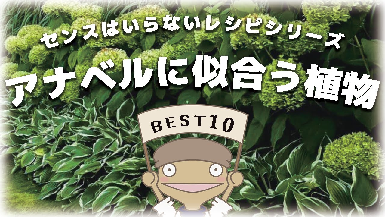 センス不要！誰でもできるアナベルの組み合わせ術