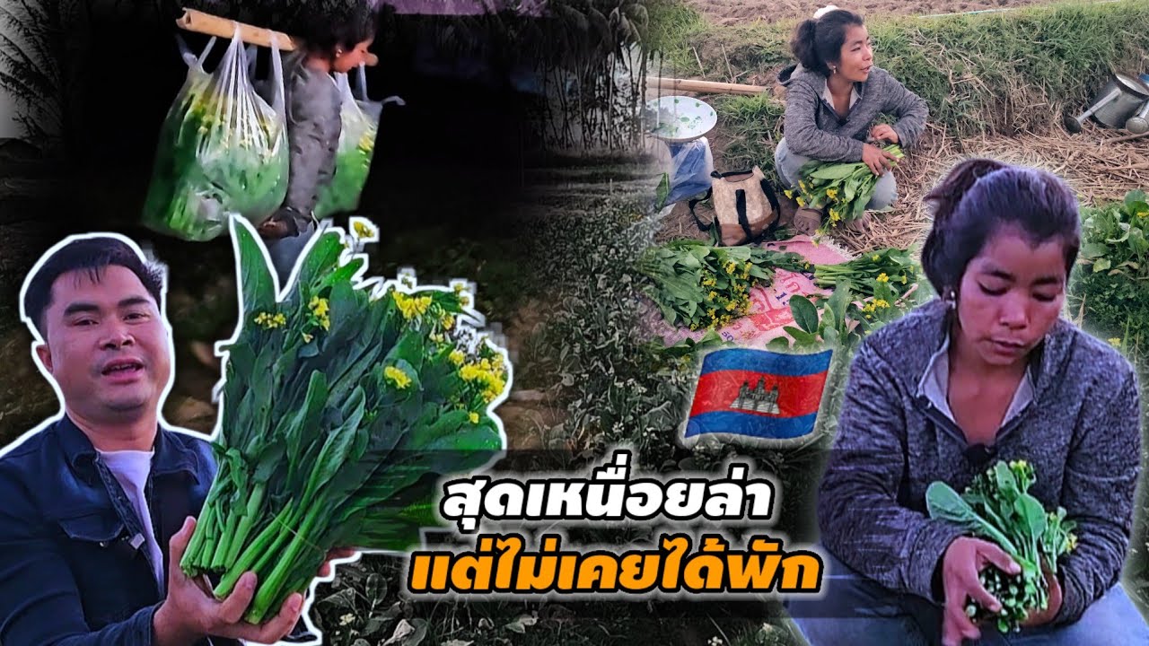เหนื่อยนักแต่พักไม่ได้ ชีวิตเขมรพลัดถิ่น 26 มกราคม ค.ศ. 2026