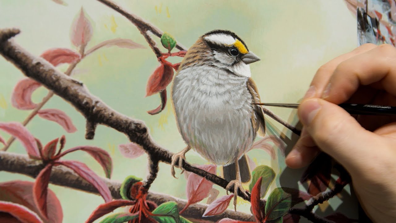 Painting a Sparrow - Timelapse