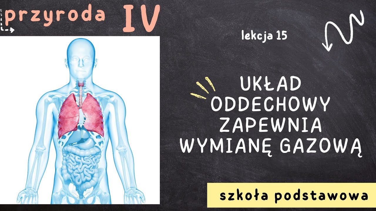 Przyroda klasa 4 [Lekcja 15 - Układ oddechowy zapewnia wymianę gazową]