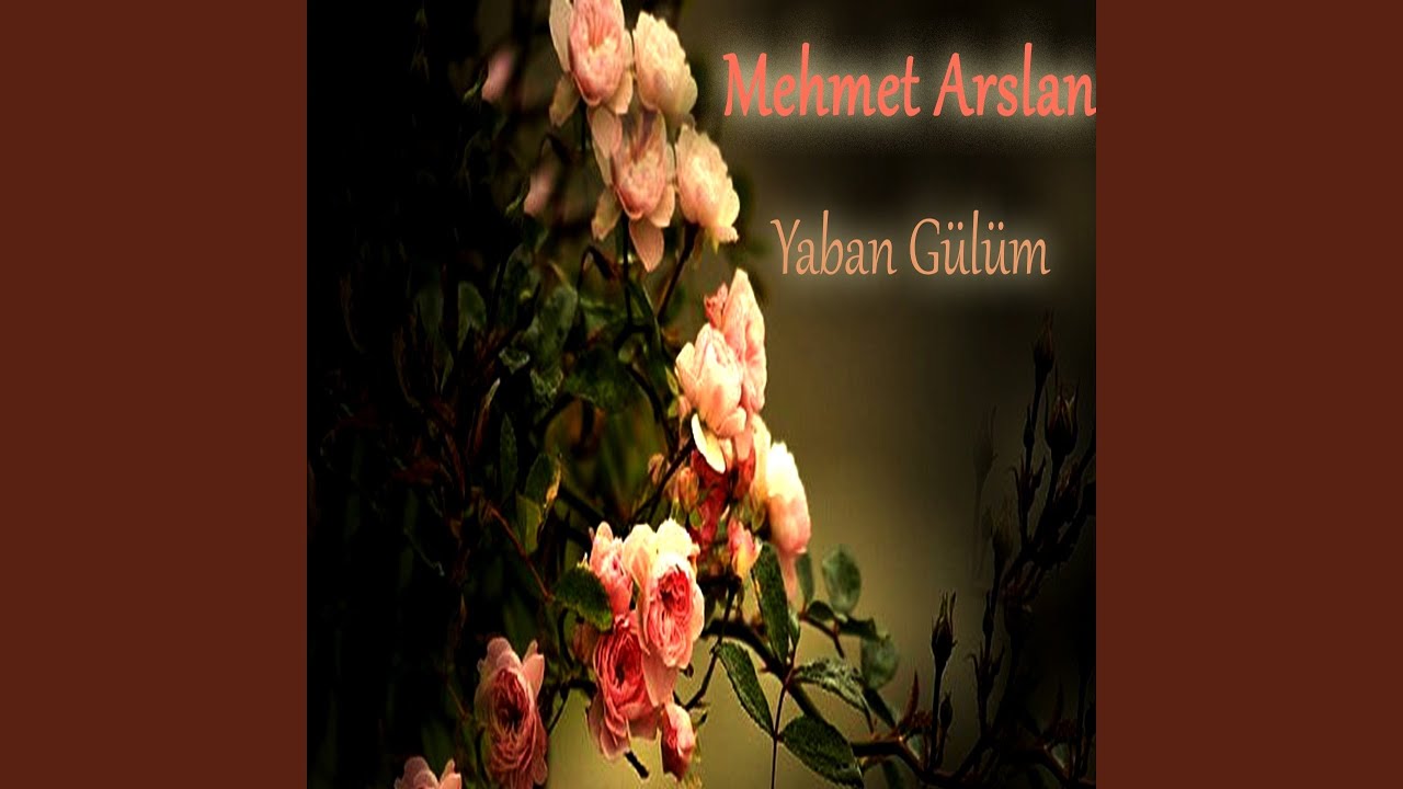 Ciğer Anam