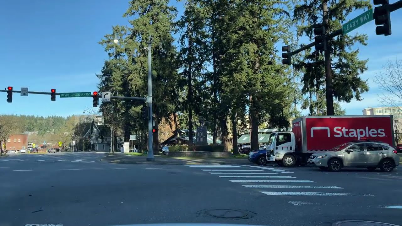 Sunny drive through Marymoor Park | February 11, 2026