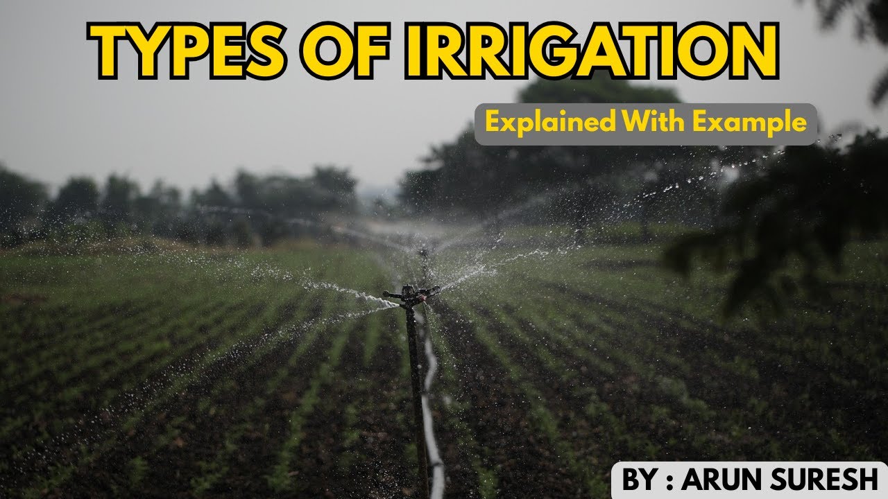 Types of Irrigation Systems Explained | Drip, Sprinkler, Furrow & More