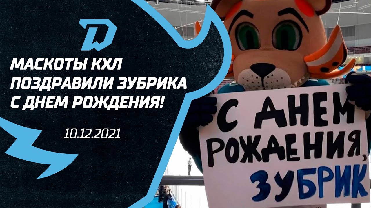 Милейшее поздравление Зубрика с днем рождения от маскотов других клубов КХЛ!