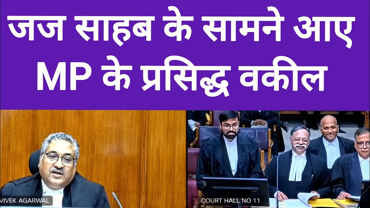 जब जज साहब के सामने आए प्रसिद्ध वकील।high court arguments।law education purpose #law #news  