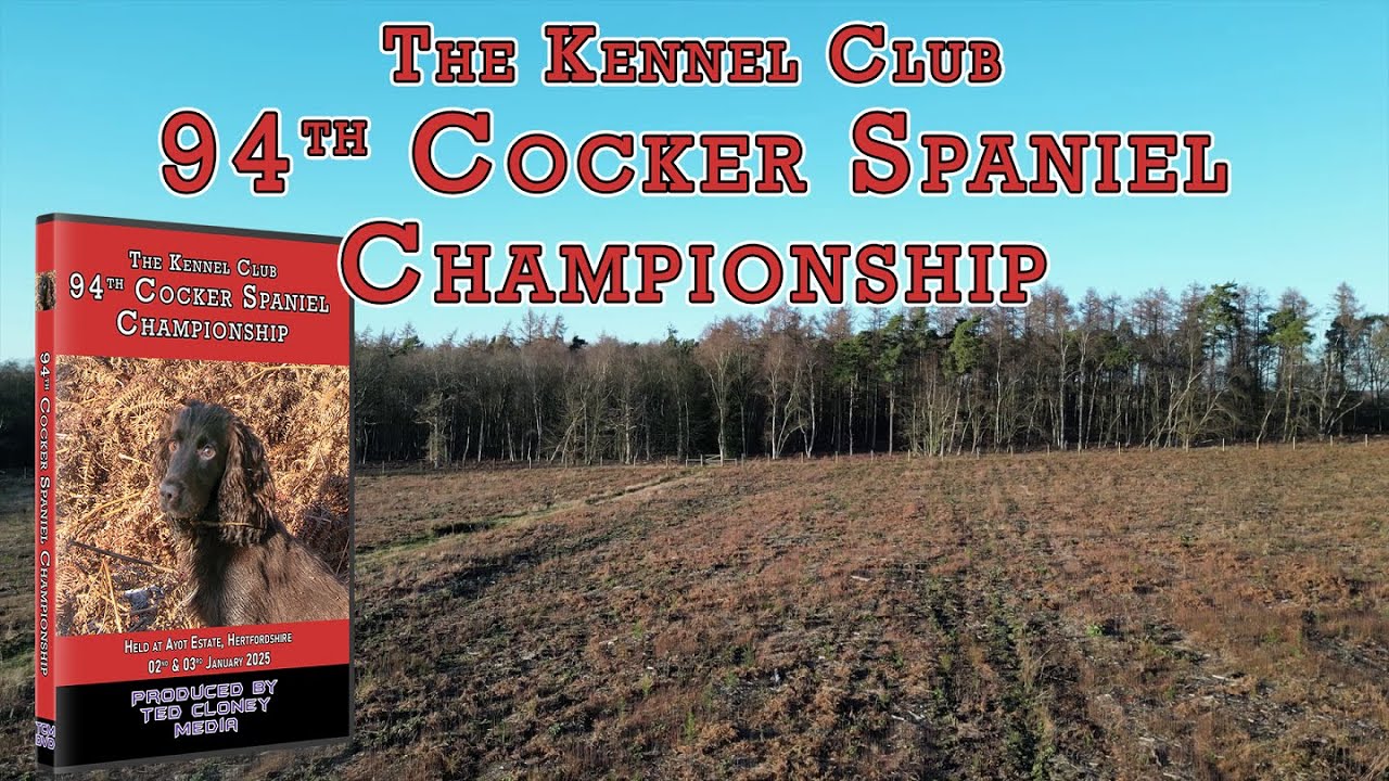 The Kennel Club 94th Cocker Spaniel Championship - DVD Preview