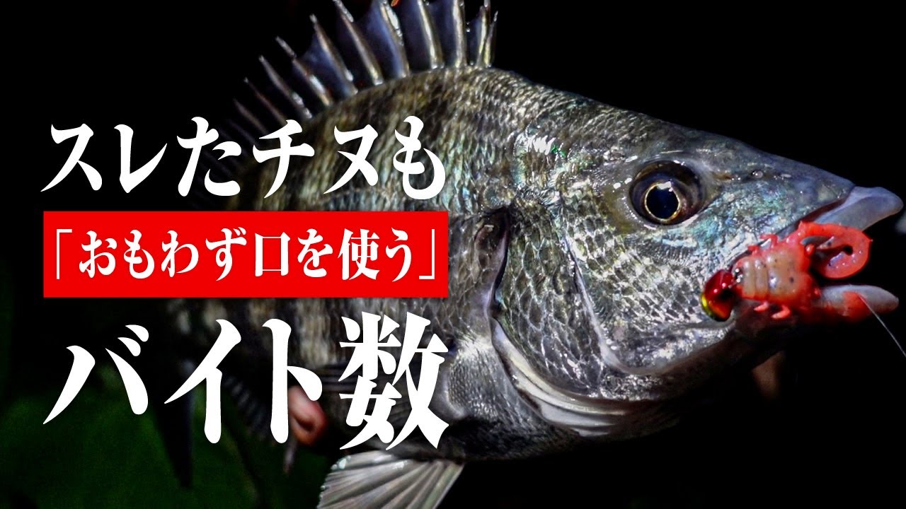 【チニング】スレチヌがおもわず口を使う！ 〜食わせの軽量ジグヘッドでハイプレッシャーエリア攻略〜 / 一宮安幸