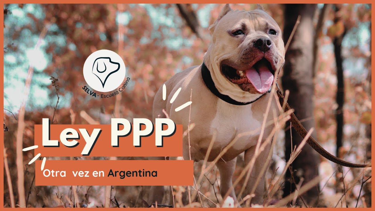 Perros Potencialmente Peligrosos en Argentina ☠ ¿Lo Sabías?