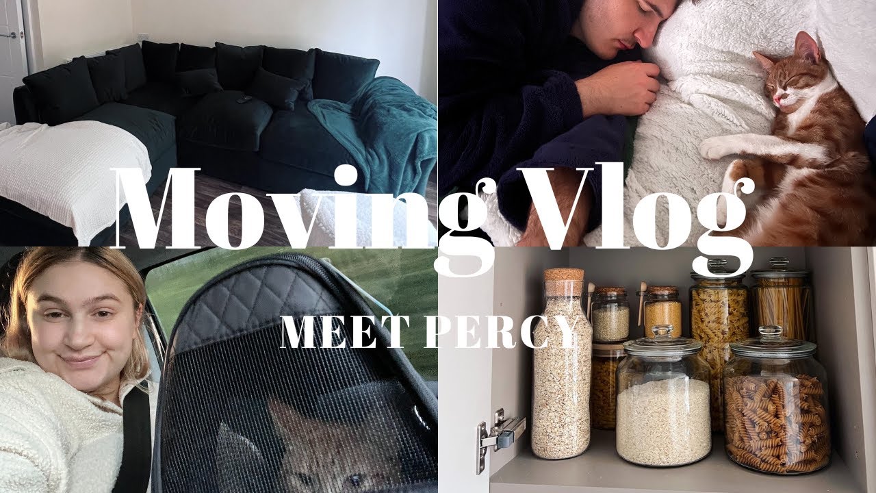 MOVING VLOG 4: Ikea delivery, sofa reveal + we brought home our rescued kitten! Meet Percy 🐈