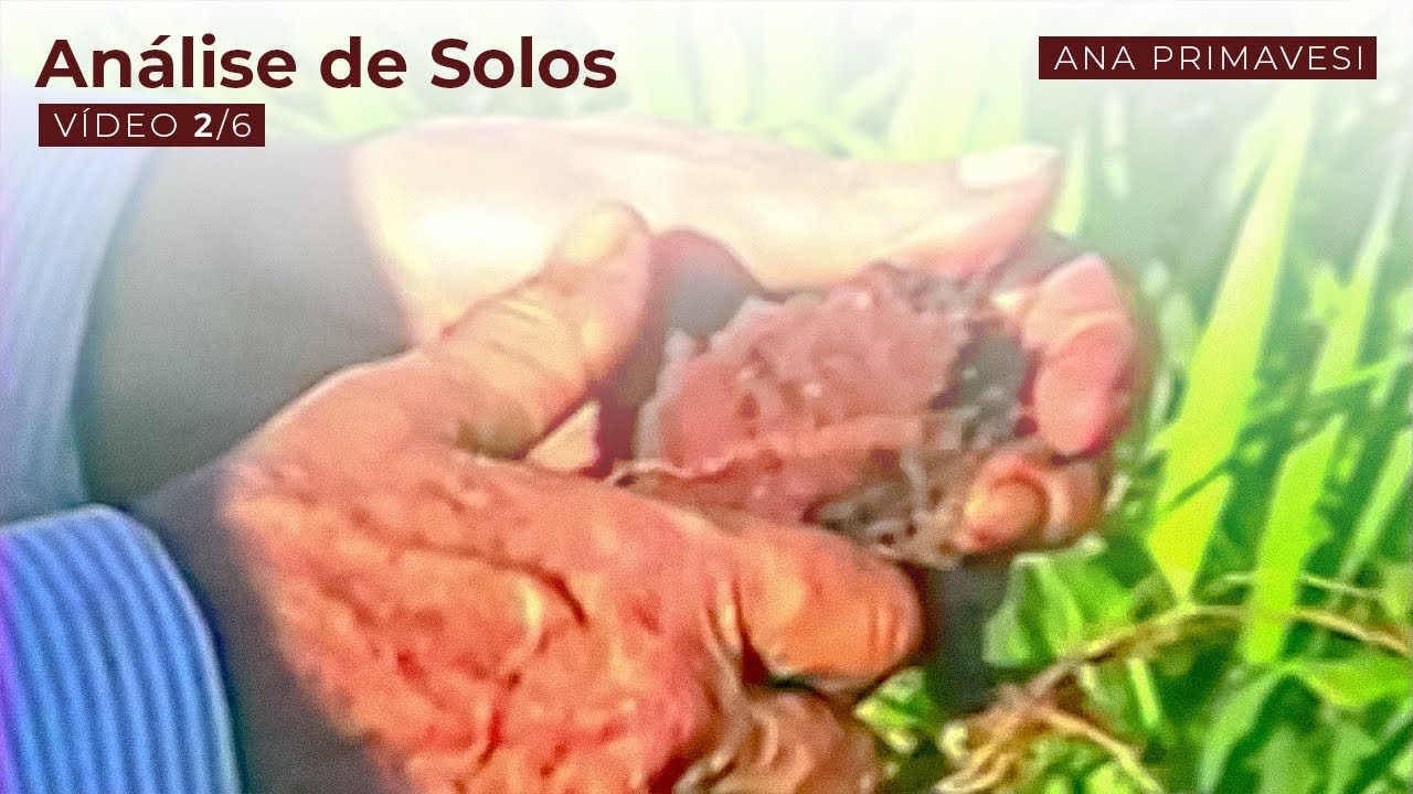 An&aacute;lise de Solos | Ana Maria Primavesi