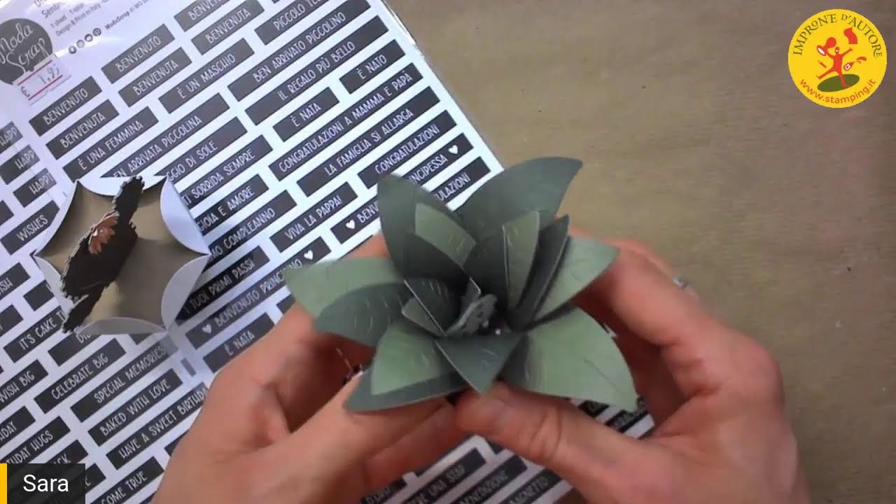 Sizzix e ModaScrap: tante belle novità!