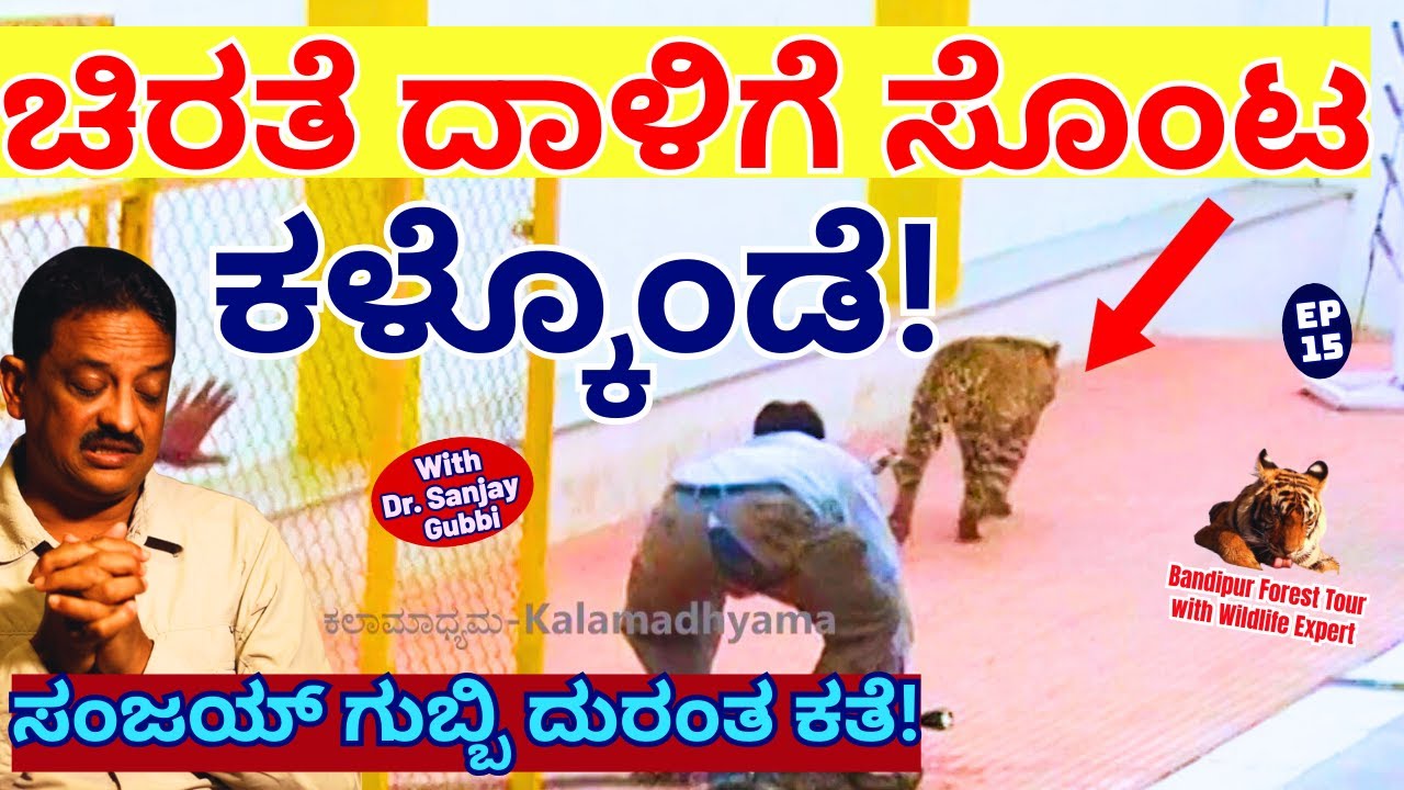 🔥'ಚಿರತೆ ದಾಳಿಗೆ ಸಂಜಯ್ ಗುಬ್ಬಿ ಅವರ ಸೊಂಟ, ಕಾಲು ಏನಾಗಿದೆ ನೋಡಿ!🔥!-E15-Dr.Sanjay Gubbi-Bandipur-#param