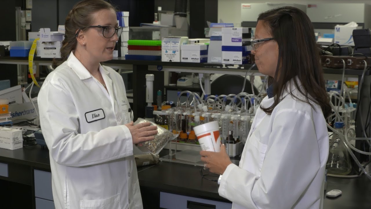 How do coffee producers test for mycotoxins to meet food safety regulations? | Behind the Science