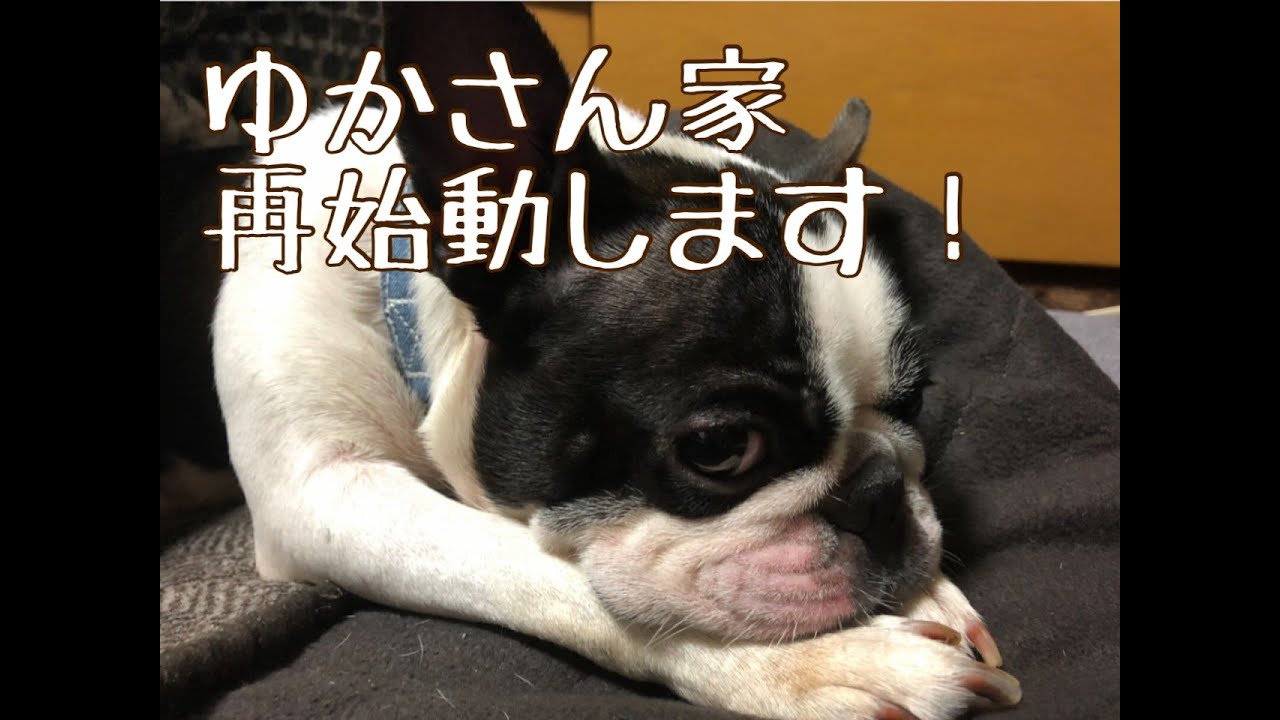 ゆかさん家 再始動します！！