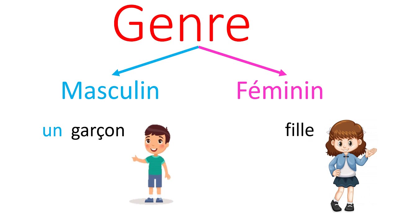 Grammaire : Le genre du nom / masculin et féminin CP / CE1
