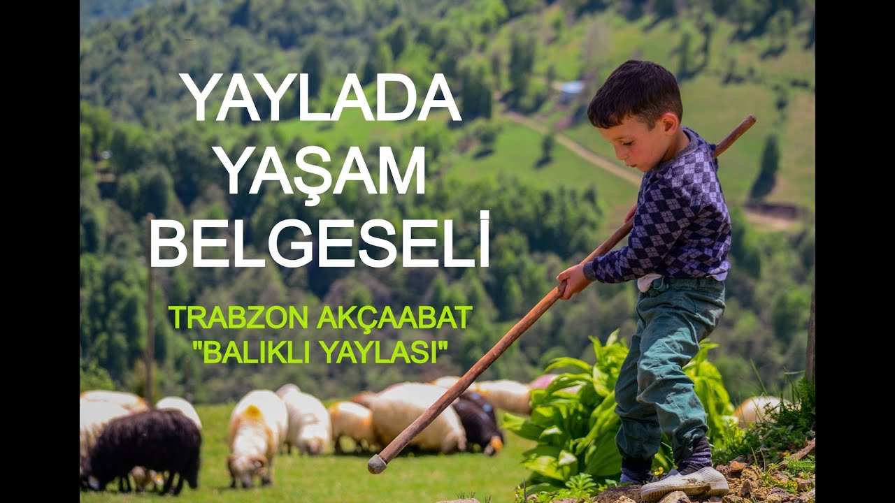 Yaylada Yaşam Belgeseli  