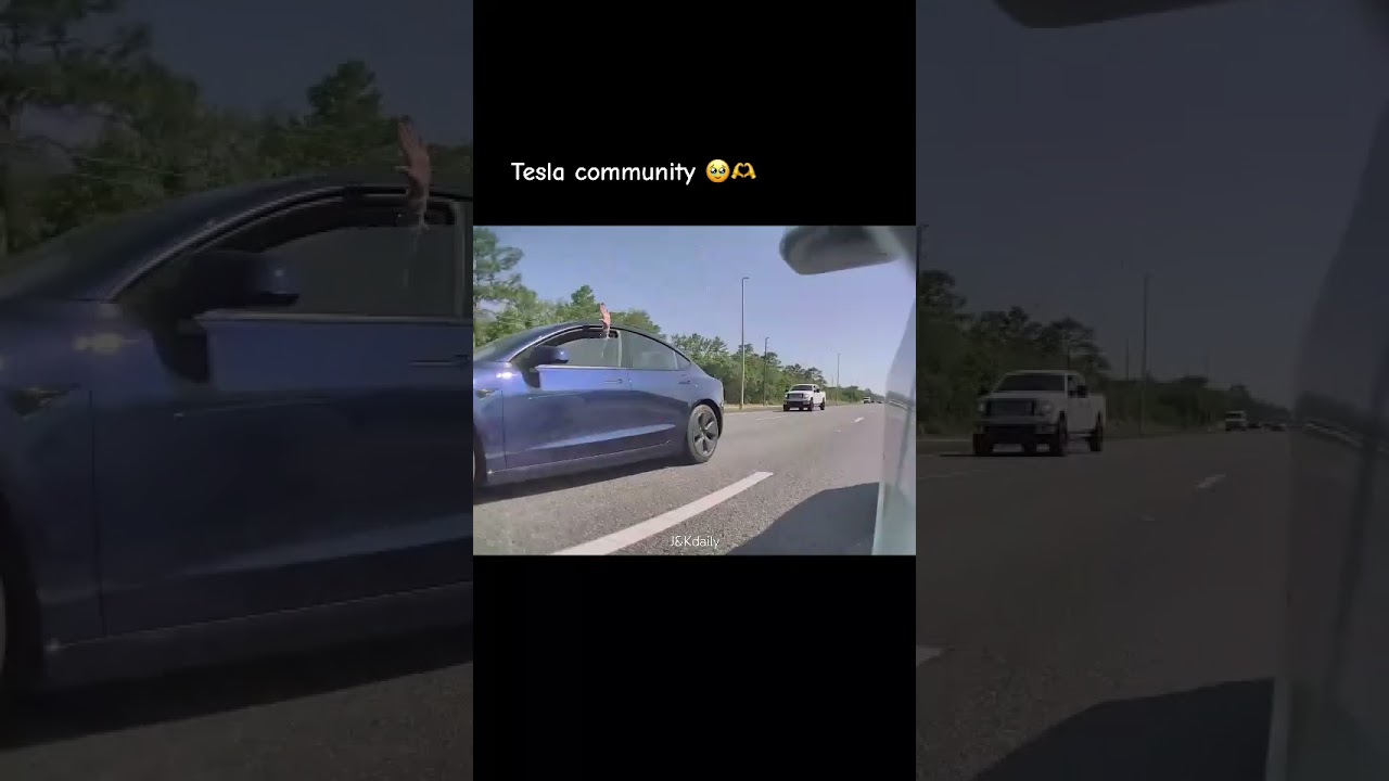 Are you part of the #teslacommunity ? #youtubeshorts #shorts #tesla #teslamodel3performance #elon