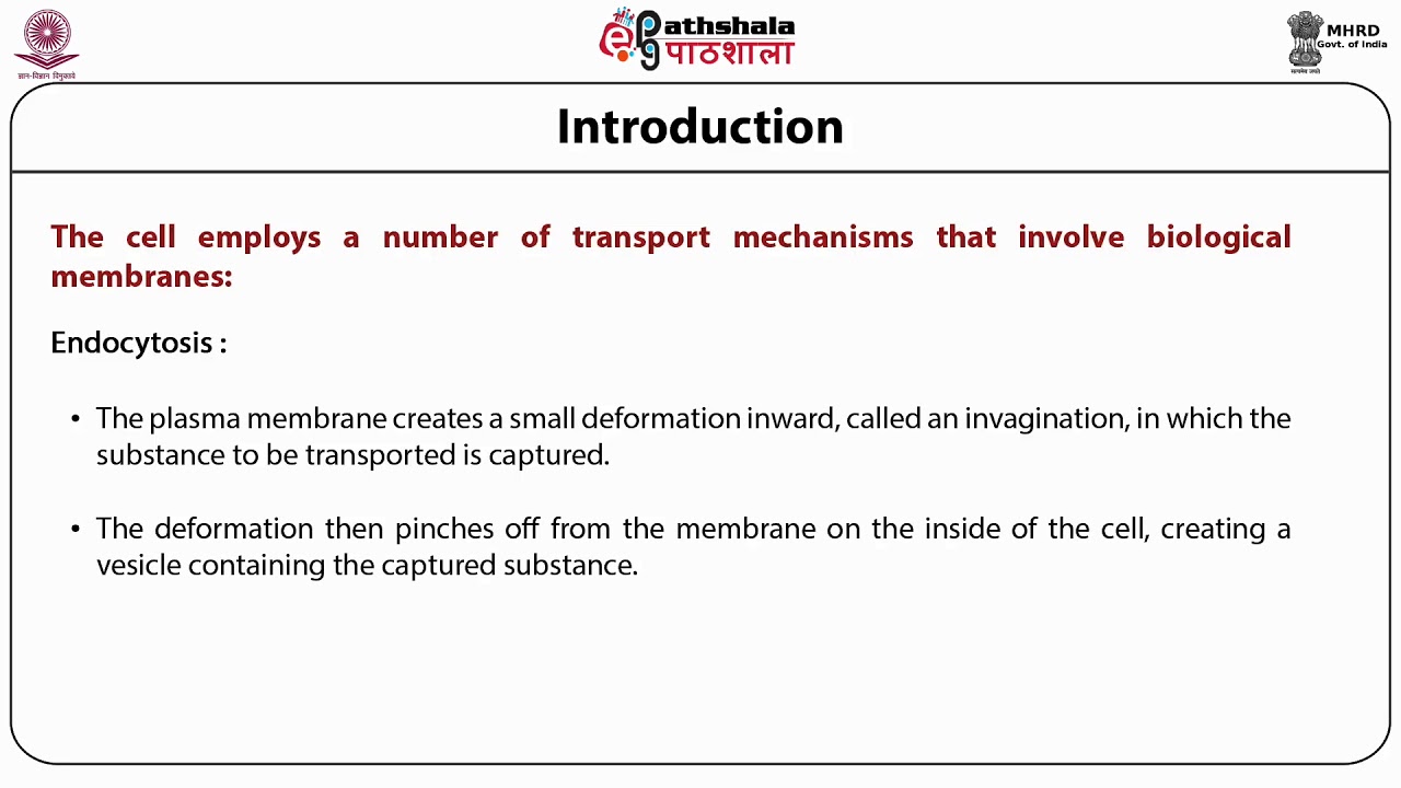 Hydropathy plot, membrane asymmetry