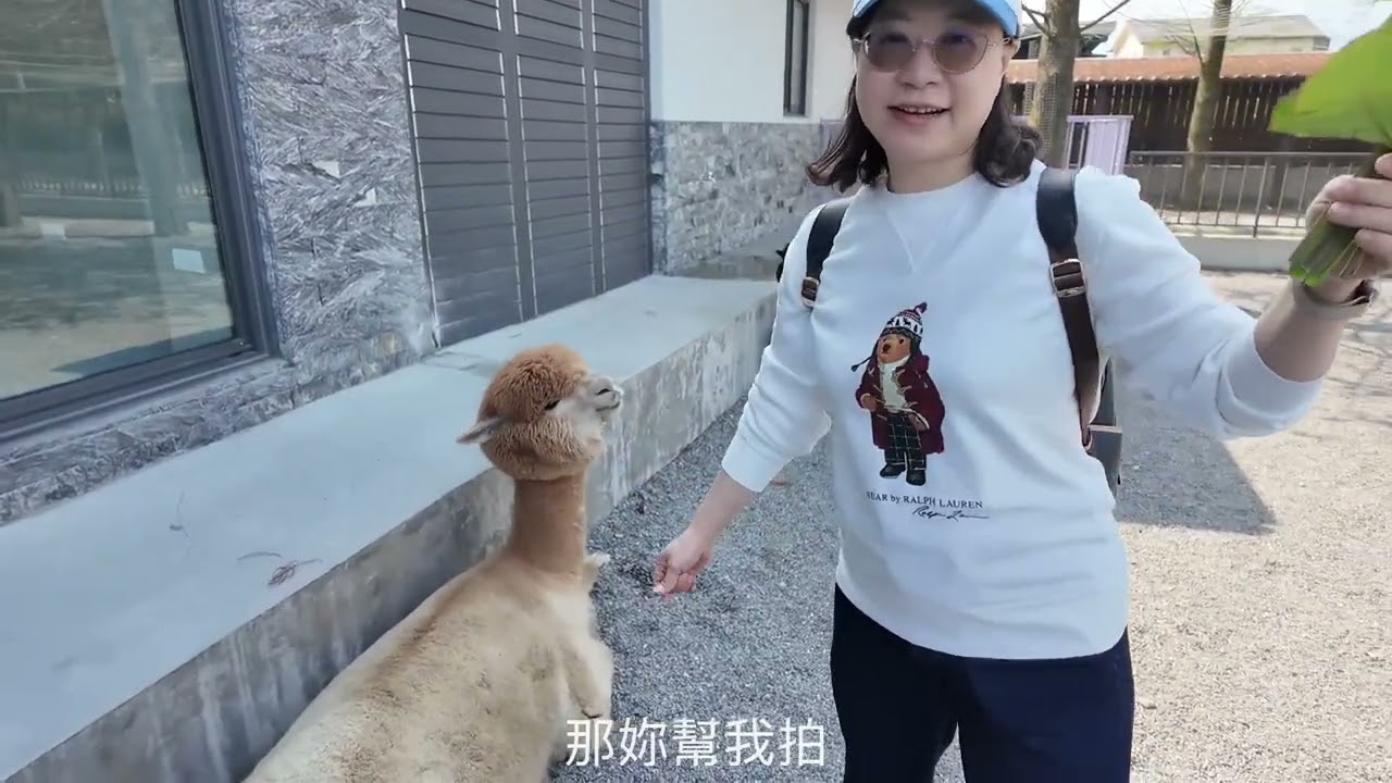 2026大年初三葛馬蘭之星,萌寵動物園孝親之旅（無浮水印版）