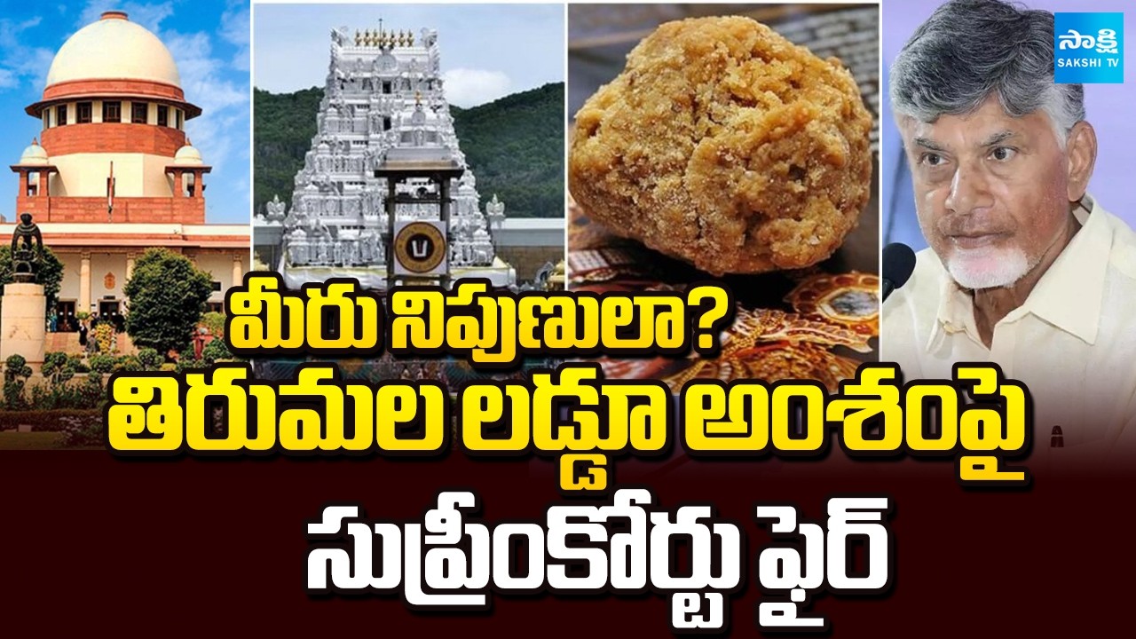 మీరు నిపుణులా? | Supreme Court Big Shock to Chandrababu Over Tirumala Laddu Issue | CBI | Sakshi TV