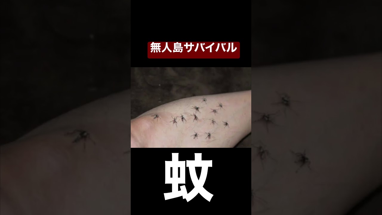 【無人島で1番恐ろしいものはアイツ】サバイバル