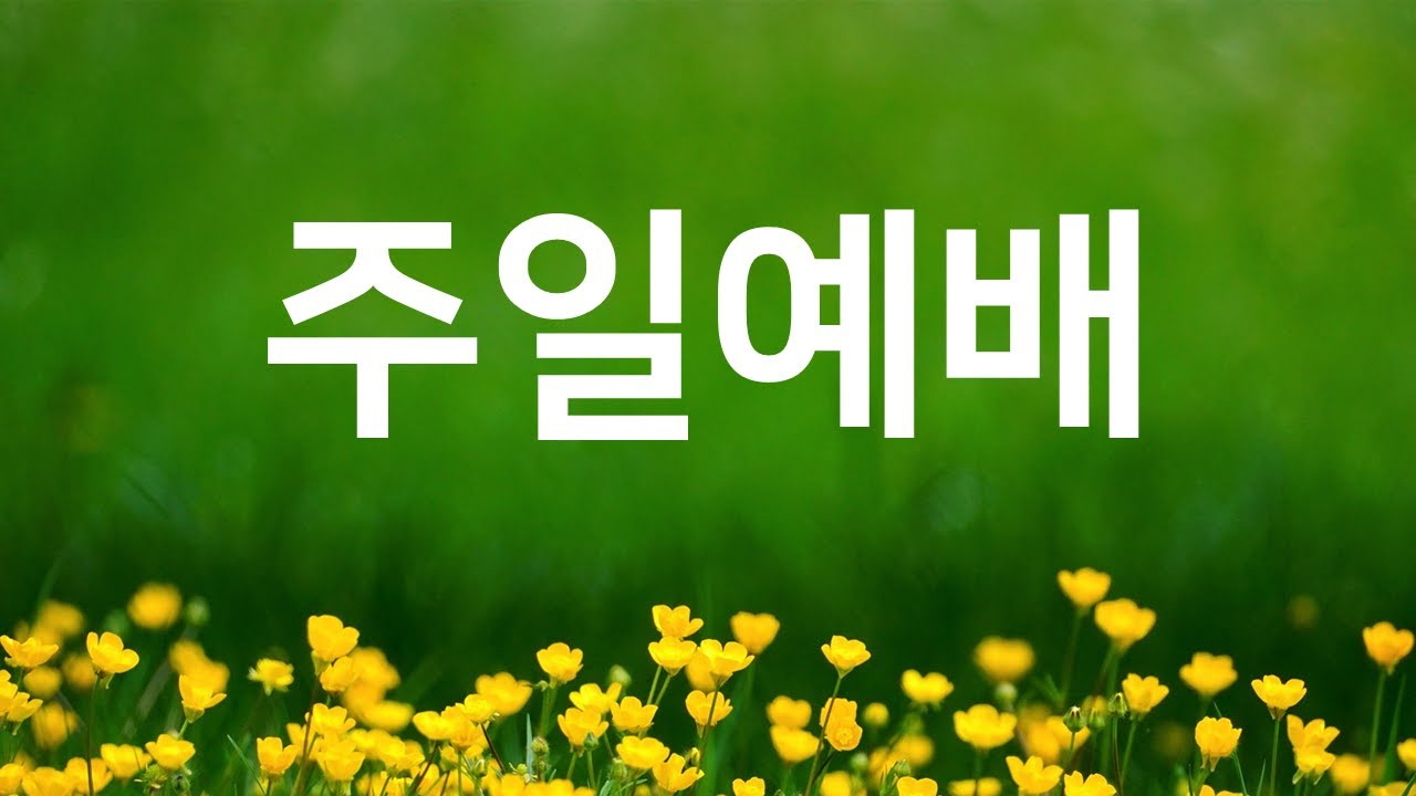 증산제일교회 20260222 주일예배