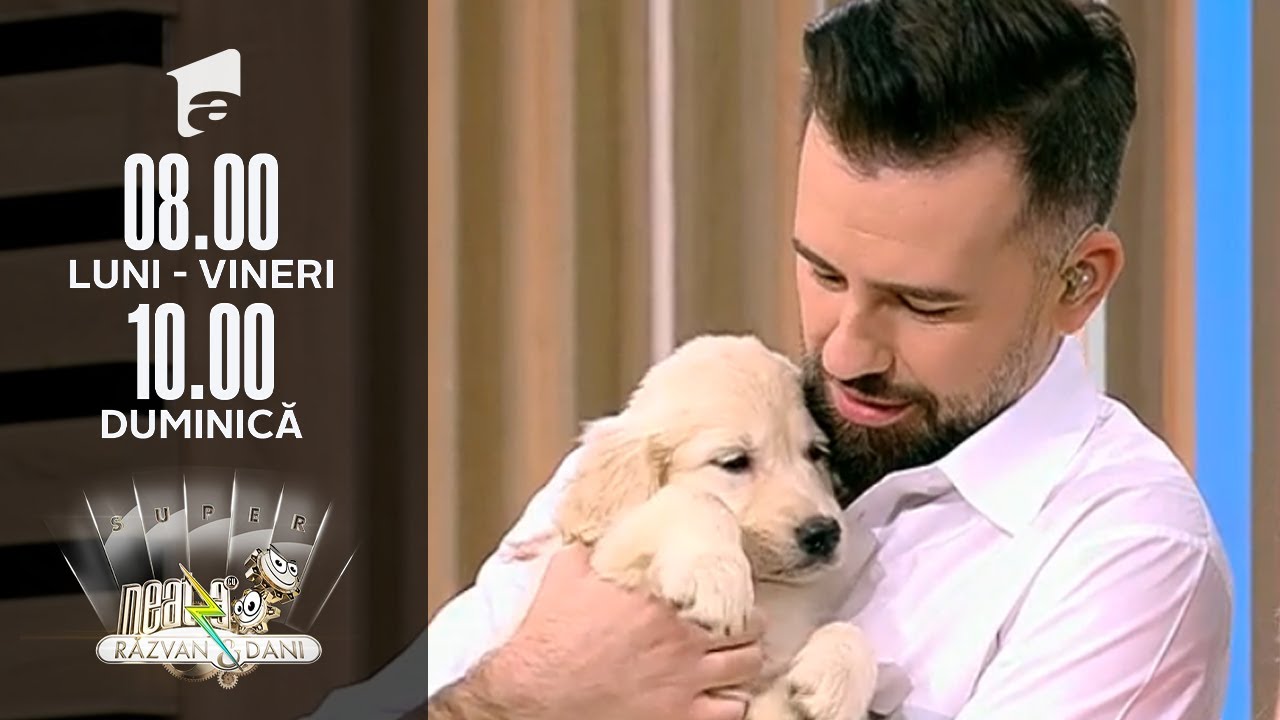 Florin Ristei s-a TOPIT când i-a văzut! 🥺 Ce trebuie să știi despre câinii Golden Retriever