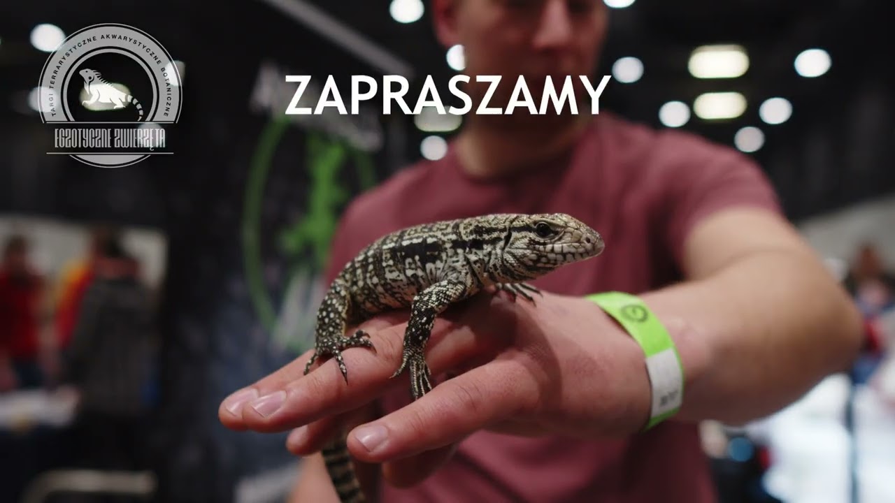 Egzotyczne Zwierzęta 11.06.2023 w Łodzi