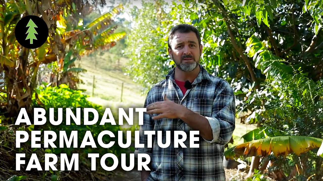 Beautiful 1-Acre Small Scale Permaculture Property | Limestone Permaculture Farm Tour