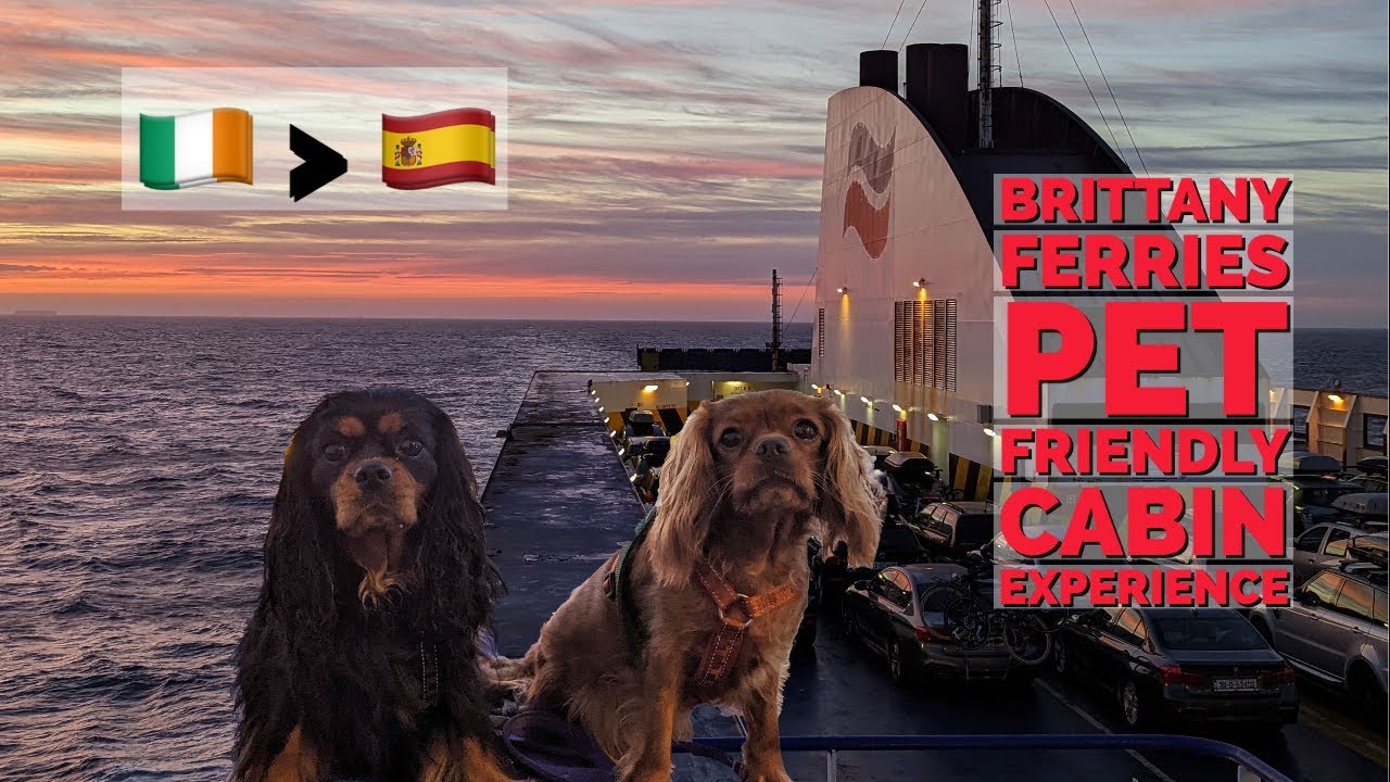 Rosslare to Bilbao PET FRIENDLY CABIN with Brittany Ferries