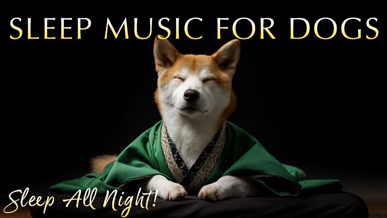 All-Night Dog Sleep Music (12 Hours)&nbsp;&ndash; Reduce Anxiety & Promote Rest